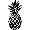 pineapple design studio sin profil