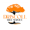 Driscoll Tree 的个人资料
