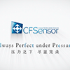 CF Sensors profil