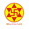 dina color lab's profile