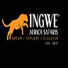 Henkilön Ingwe Africa Safaris profiili