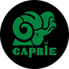 Profil użytkownika „Caprie Nguyen”