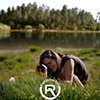 Profil użytkownika „Raquel Pimentel”