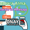 Mobil Onay's profile