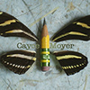 Profiel van Cayce Moyer