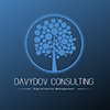 Henkilön Davydov Consulting profiili