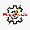 Imported Auto Parts Peça Pra Já's profile