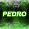 Graphiste Pedro's profile