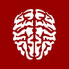 BrainyWorks Logos sin profil