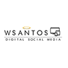Profil użytkownika „Wanderson Santos”