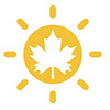 Perfil de Canada Solar Team