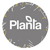 Planta Design de Guillermo Vicente sin profil