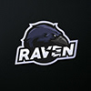 Profiel van Raven .