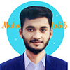 Muhammad Labibs profil