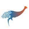Pixel Emus profil
