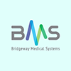 Bridgeway Medical Systems's profile