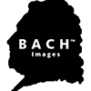 BACH Images's profile