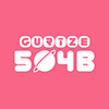 Gurīze 504Bs profil