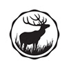 Profilo di steve deer