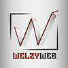 Welzy Web ✪'s profile