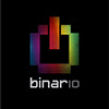 Profil Binario Lab