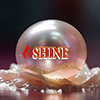 Profil użytkownika „SHINE SHAH  INDIA”