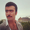 Profil użytkownika „Urfan Mammadov”