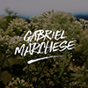 Gabriel Marchese 的個人檔案
