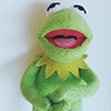 Kermit. The copy.'s profile