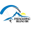 ParaglidingBilling Bir's profile