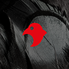 Estúdio Raven's profile