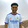 Mahmoud Fadls profil