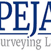 PEJA Surveying Ltd's profile