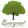 Evergreen IT Web's profile