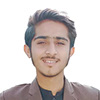 Anees Malik's profile