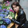 Elena Sotnik's profile