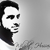 Profil appartenant à wiladat hussain