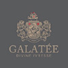 Galatee Wine's profile