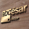 Профиль Abcesar Group