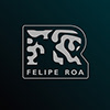 Профиль Felipe Roa Ramírez
