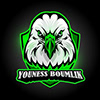 Youness Boumlik's profile