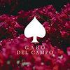 Gabriel Del Campo's profile