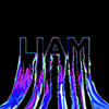 Profil użytkownika „Liam Chan”