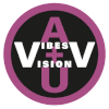 Vibes and Vision's profile