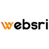 Websri A Unit of SSSPL profili