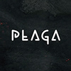 Профиль PLAGA STUDIO