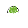 Việt Nam Forestry's profile