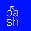 BASH SDM sin profil