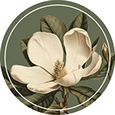 ✦ AI Crafted Magnolia ✦ sin profil