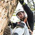 Downers Grove Tree Service's profile